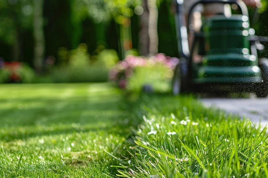 electric cordless push mower